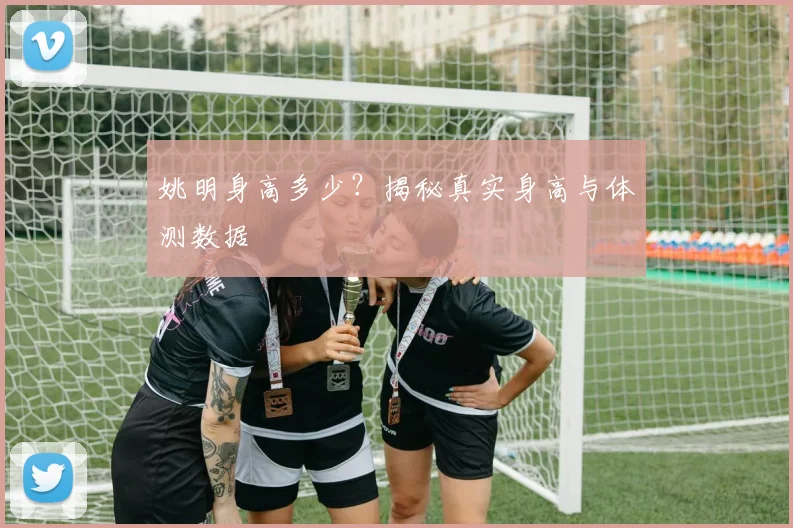 姚明身高多少?揭秘真实身高与体测数据