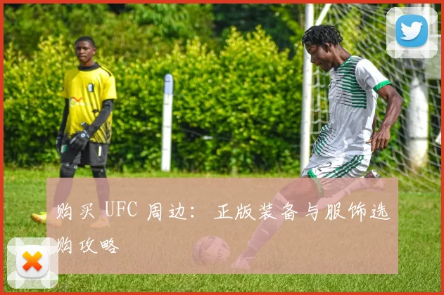 购买 UFC 周边:正版装备与服饰选购攻略